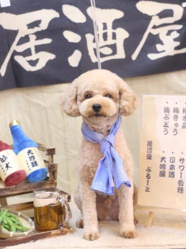 20240606モナカくん